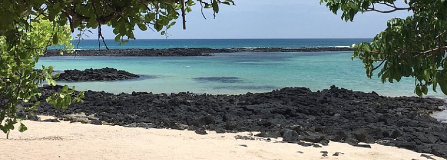 playa la estacion, la estacion galapagos, playa estacion santa cruz