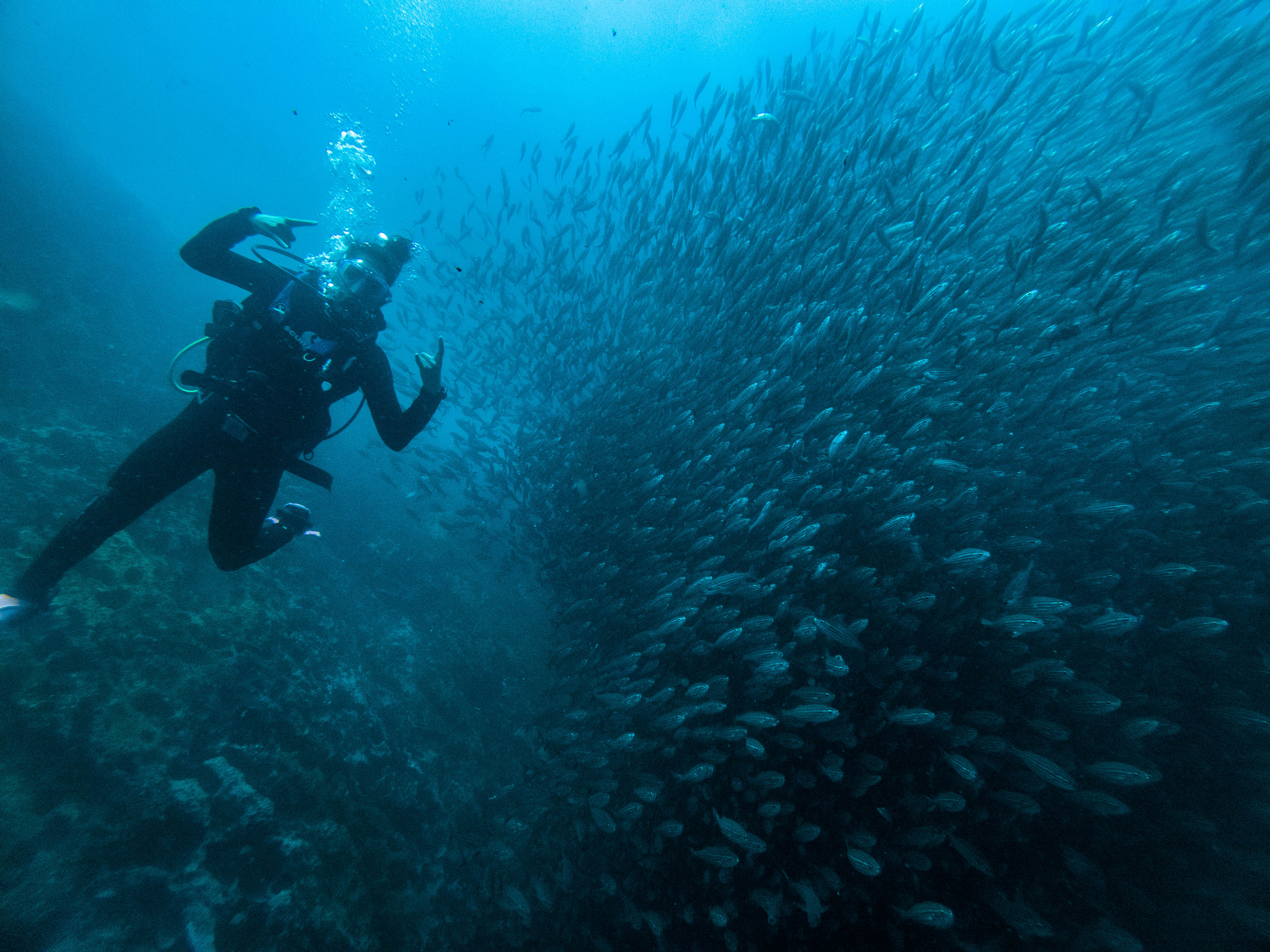 Buceo en León Dormido Kicker Rock, Galápagos