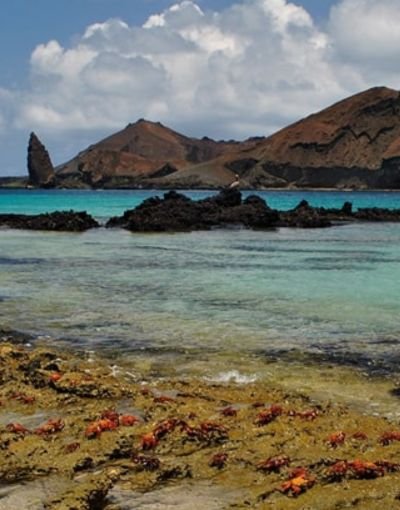 santafeisland Santa Fe Island turquoise bay with volcanic rocks and white sand beach Galapagos
