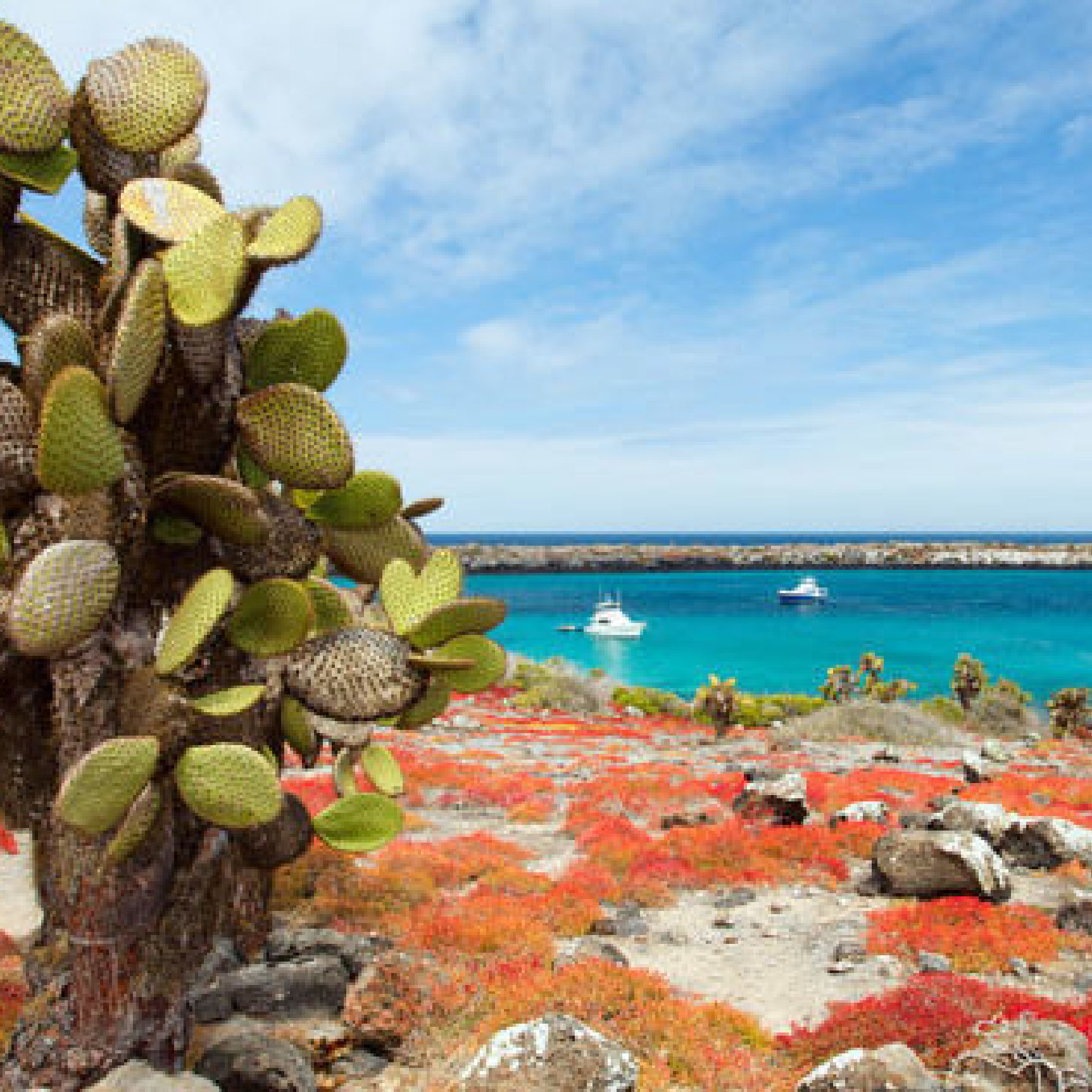 isla seymour galapagos tour