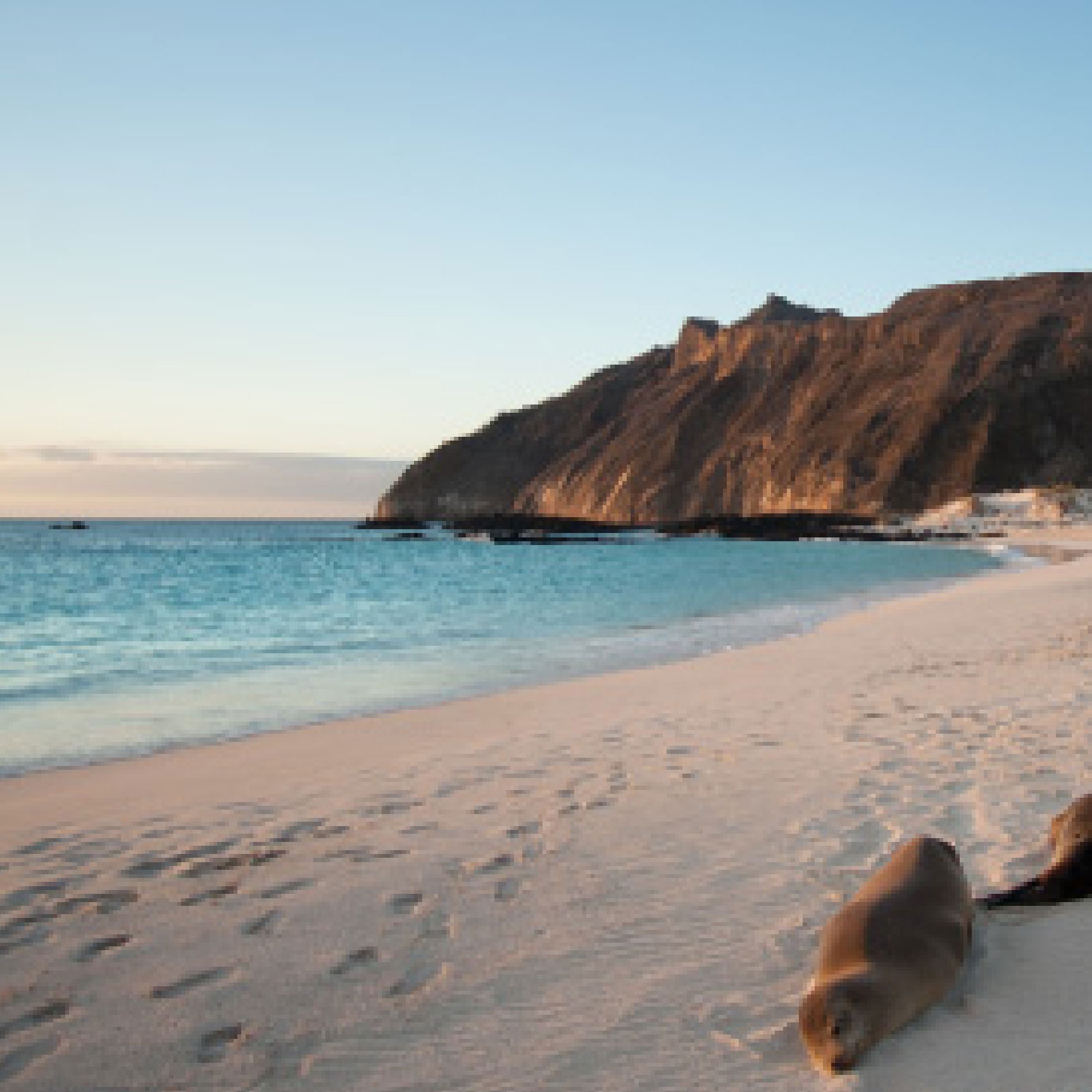 reservar tour seymour norte galapagos